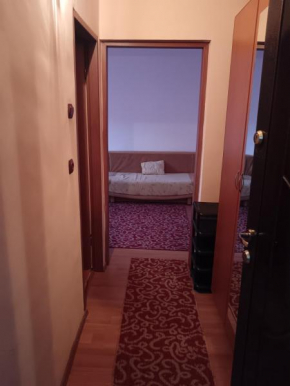 Apartament 2 camere zona linistita